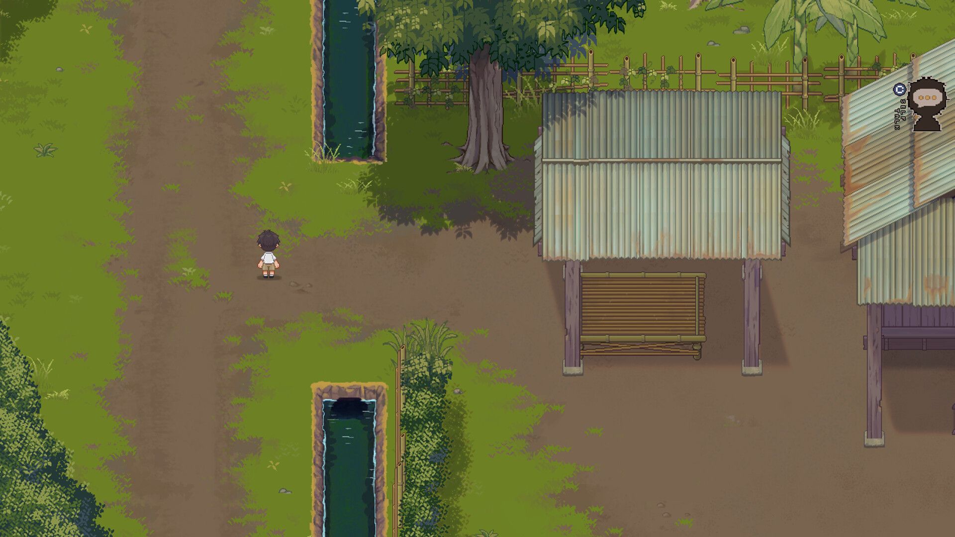 Bangkok Story: A Stray Dog