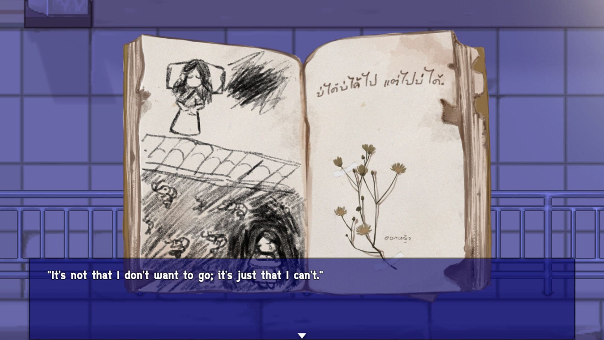 Bangkok Story: A Stray Dog