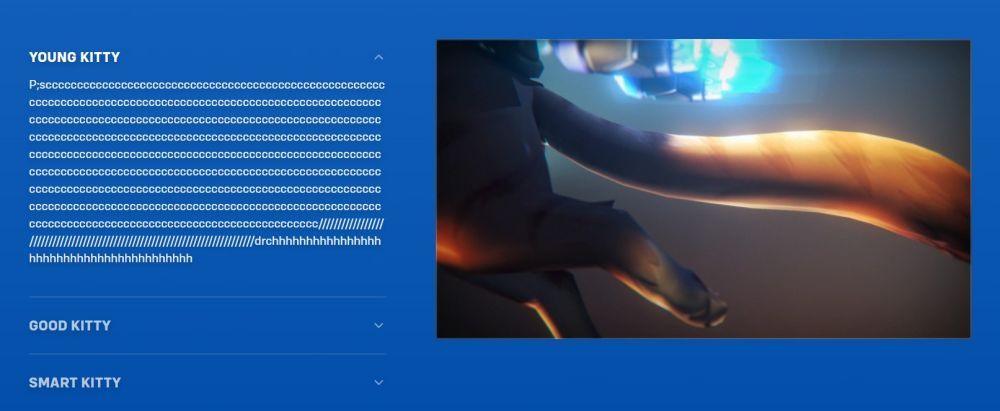 Jetpack Cat Overwatch