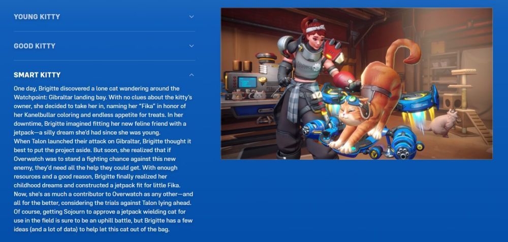 Jetpack Cat Overwatch