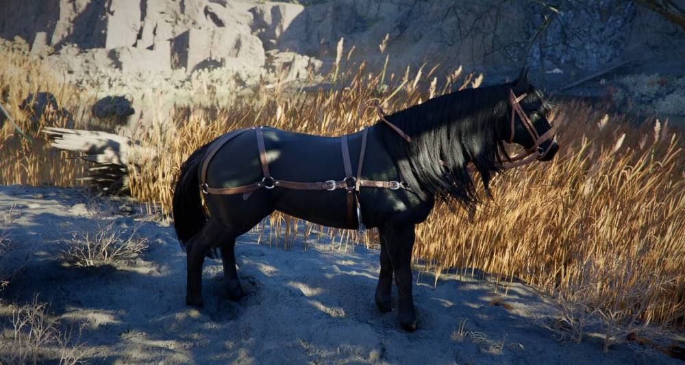 Crimson Desert Legendary Horses ม้าระดับตำนาน