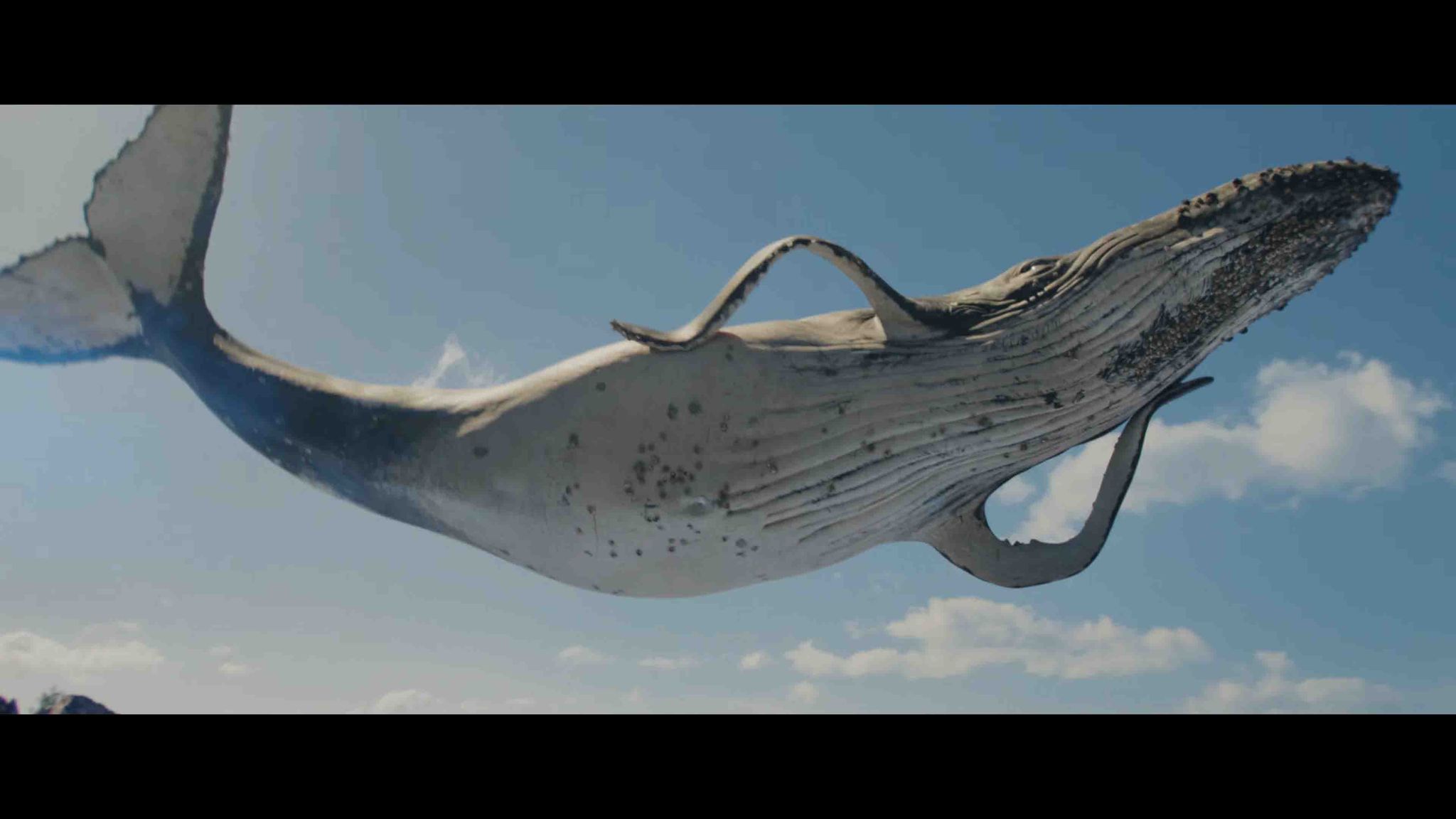 Moana