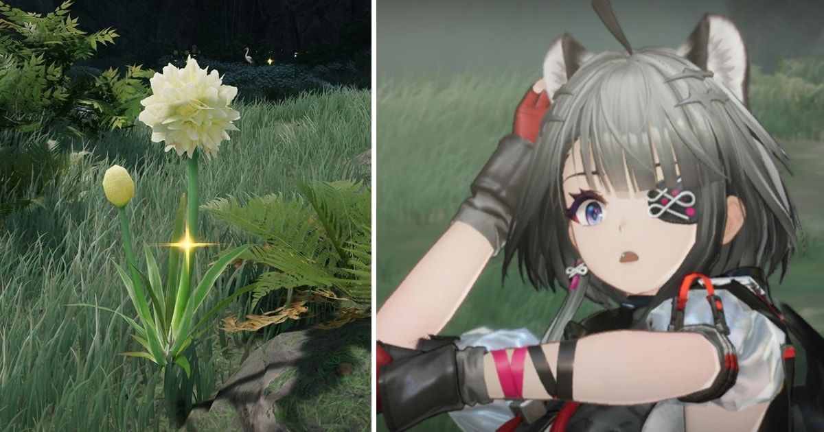 ผู้เล่น Arknights: Endfield อึ้งหลังค้นพบประโยชน์ลับของ Jincao ตัวช่วยพลิกโฉมสายการผลิต Xiranite