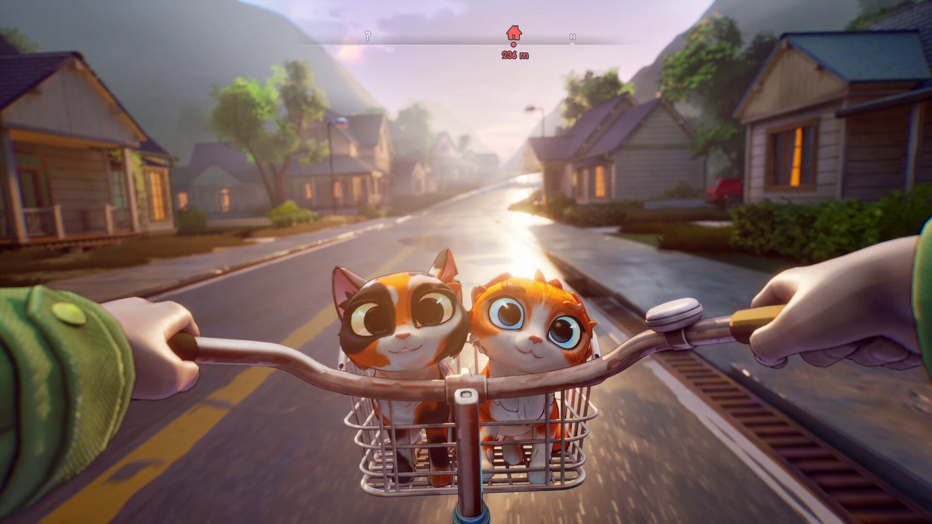 Cat Parents