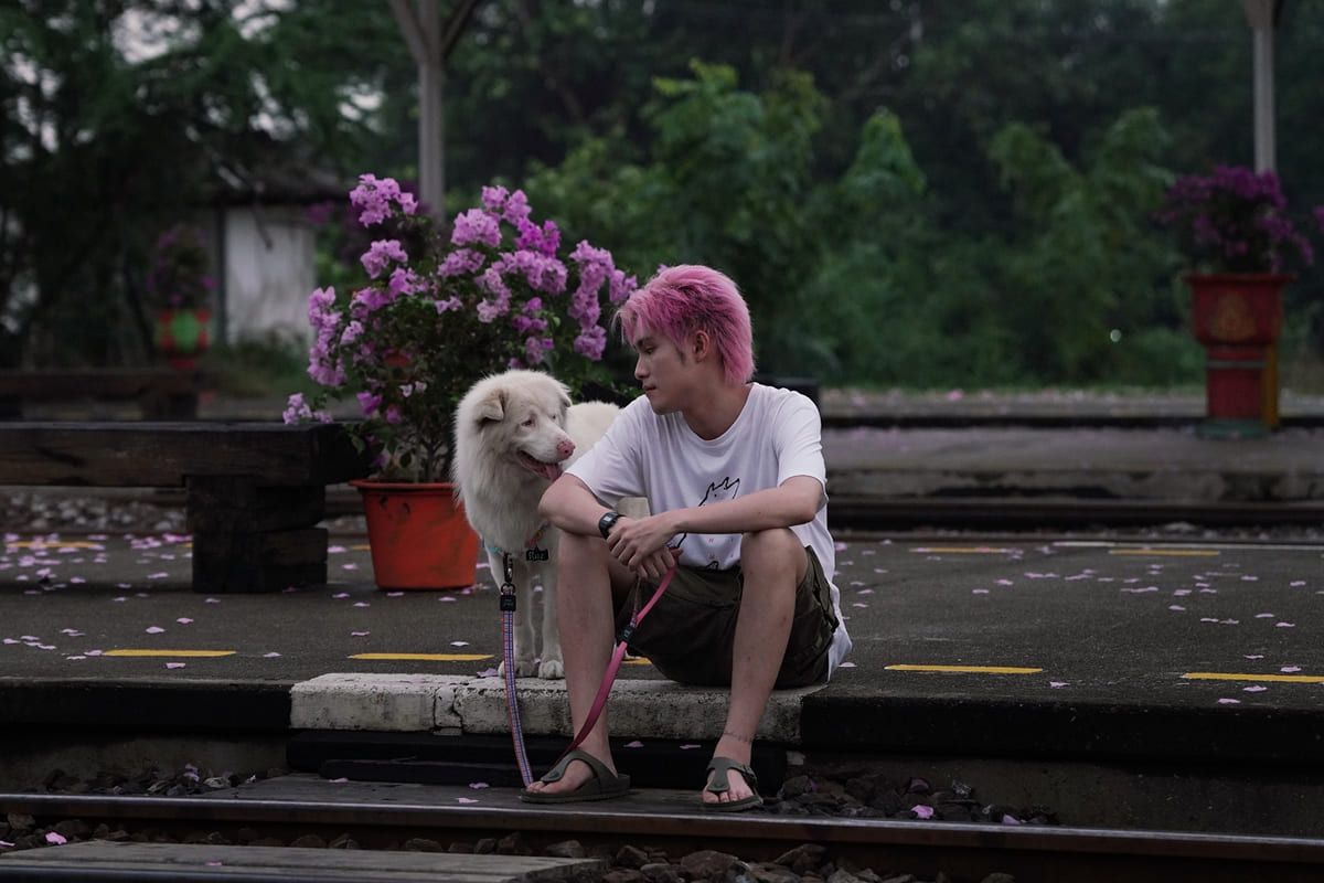 โกฮัง..หัวใจโกโฮม