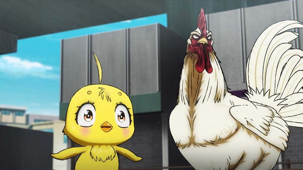 Rooster