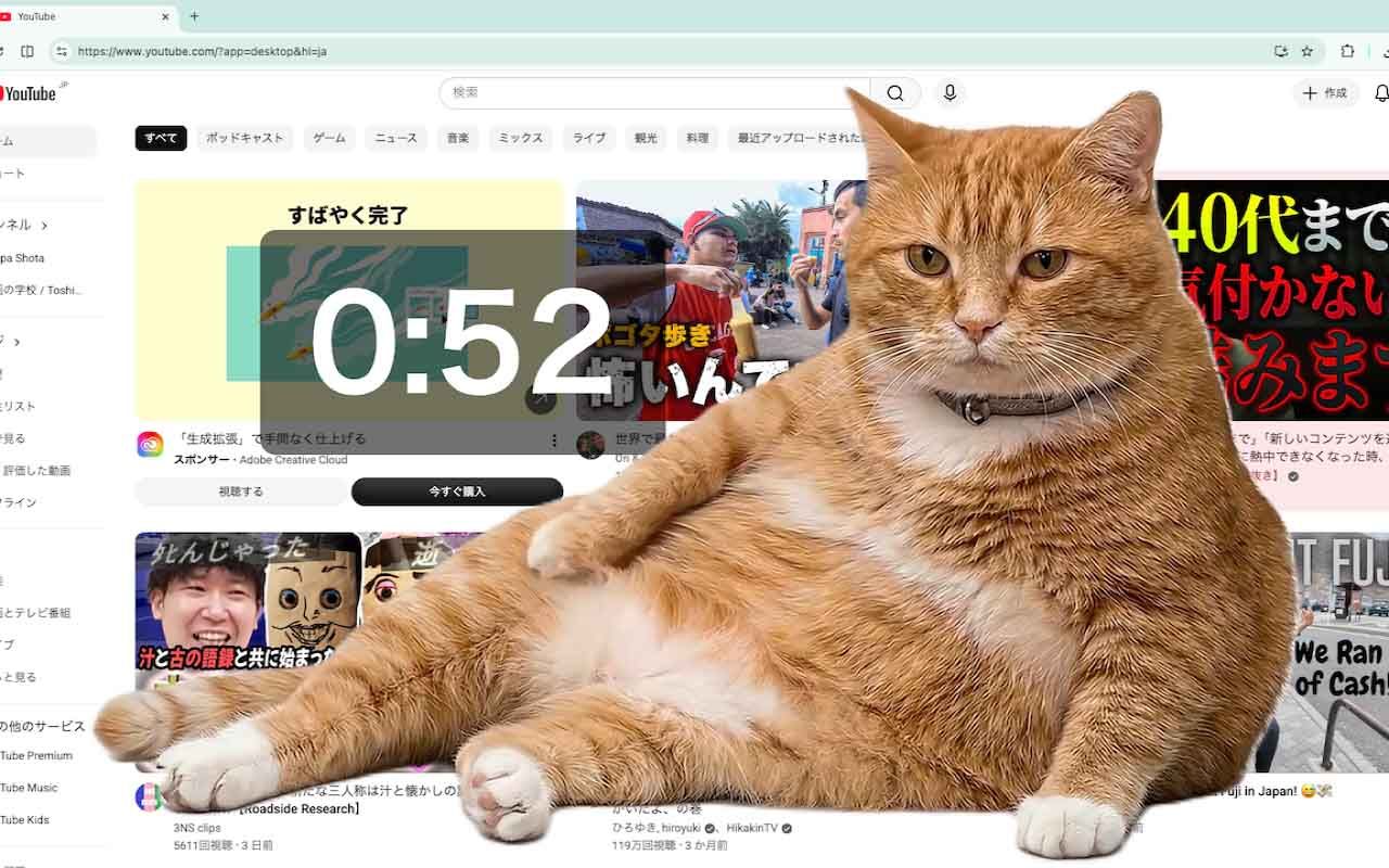 Cat Gatekeeper