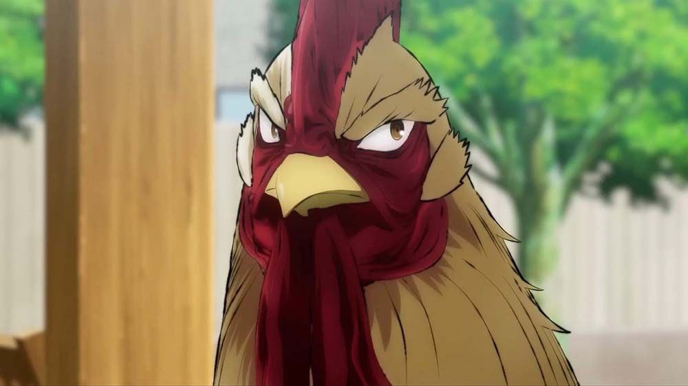 Rooster