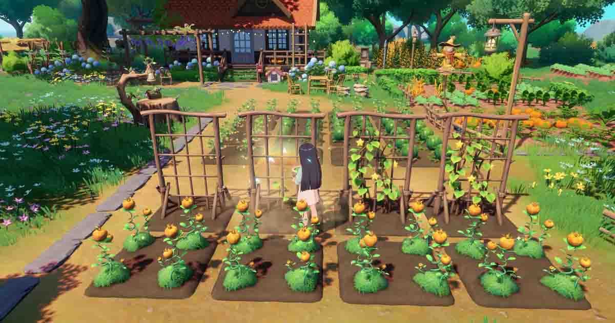 เกมปลูกผัก