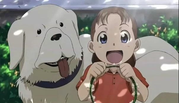 Fullmetal Alchemist