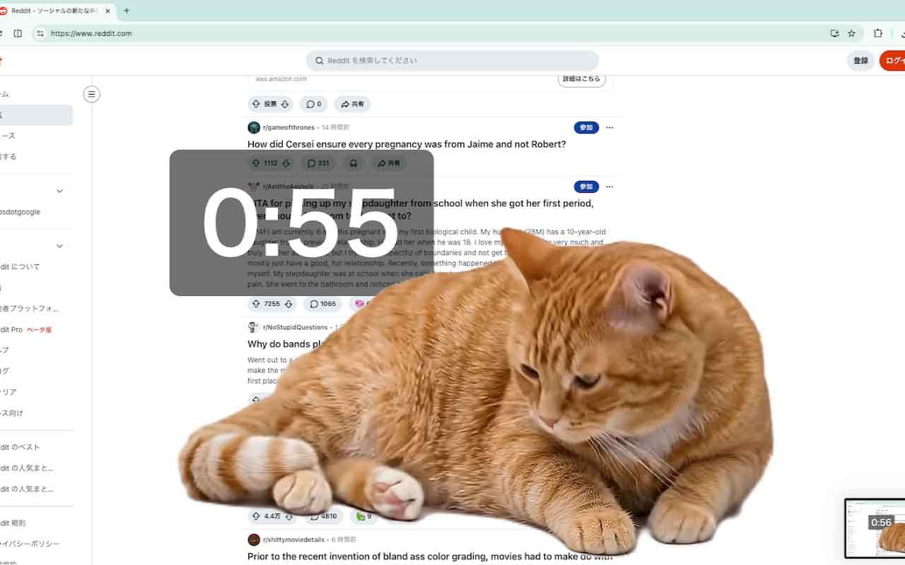 Cat Gatekeeper
