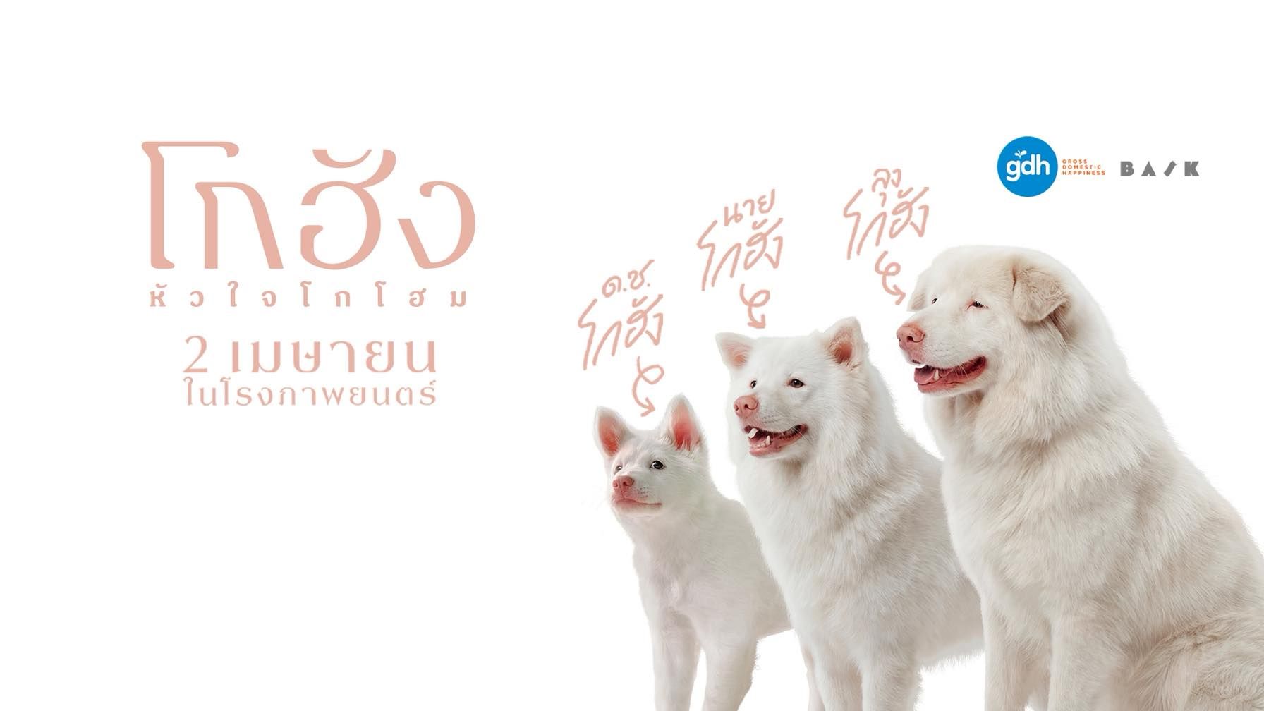 โกฮัง..หัวใจโกโฮม