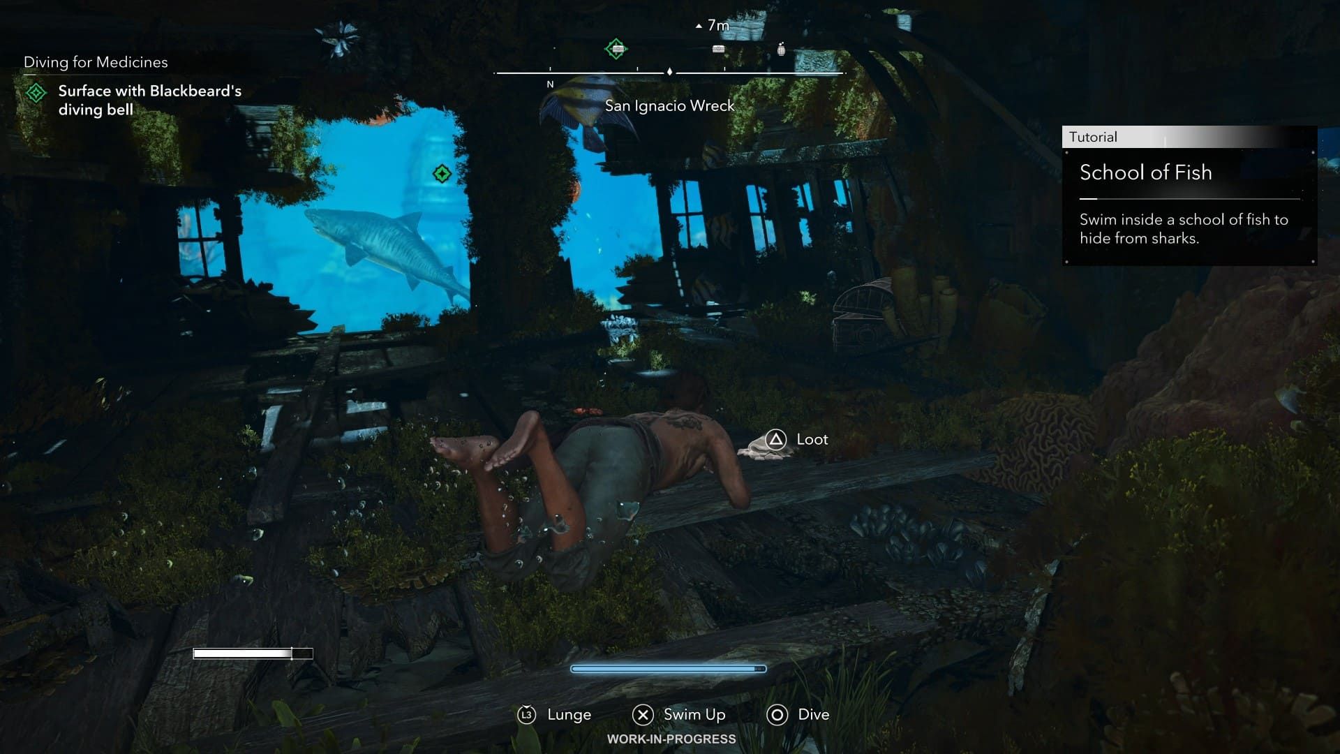 Assassin's Creed Black Flag Resynced