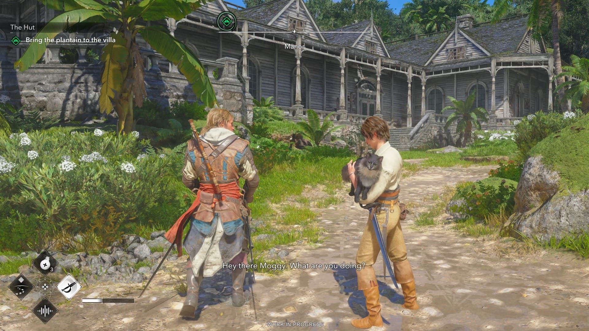 Assassin's Creed Black Flag Resynced