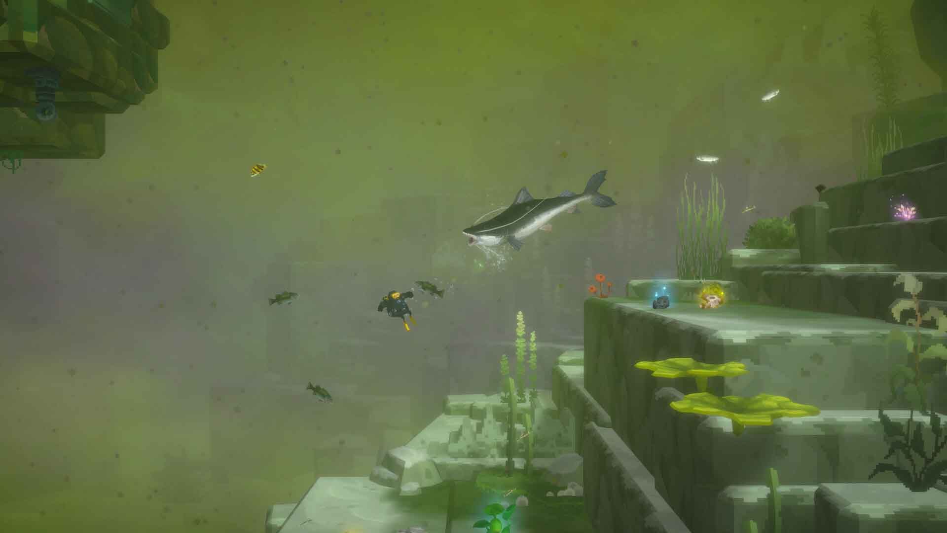 DAVE THE DIVER In the Jungle DLC
