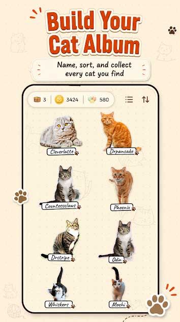CatchCat