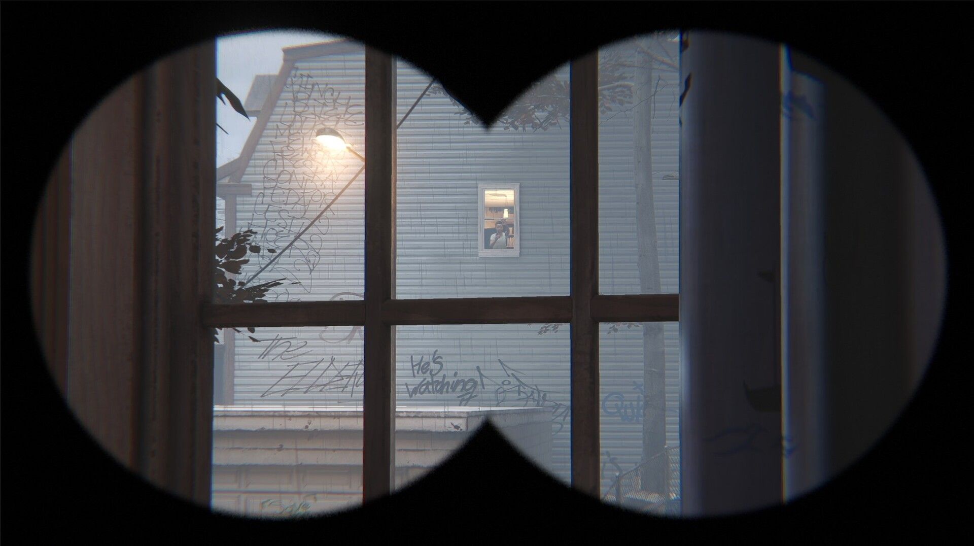 Farsight