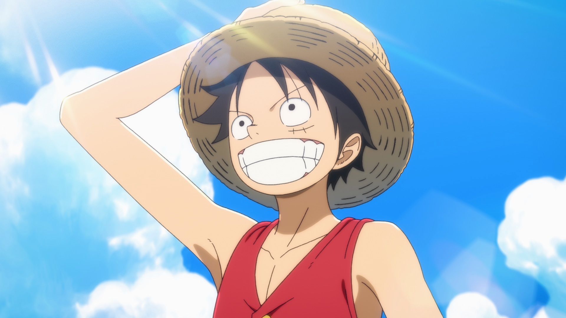  THE ONE PIECE