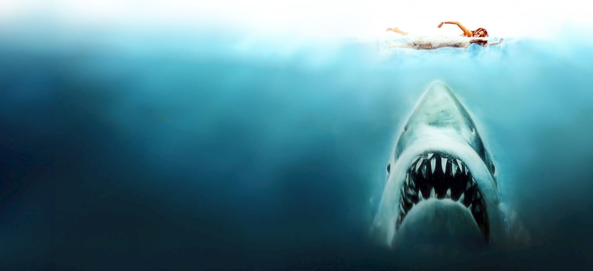 Jaws