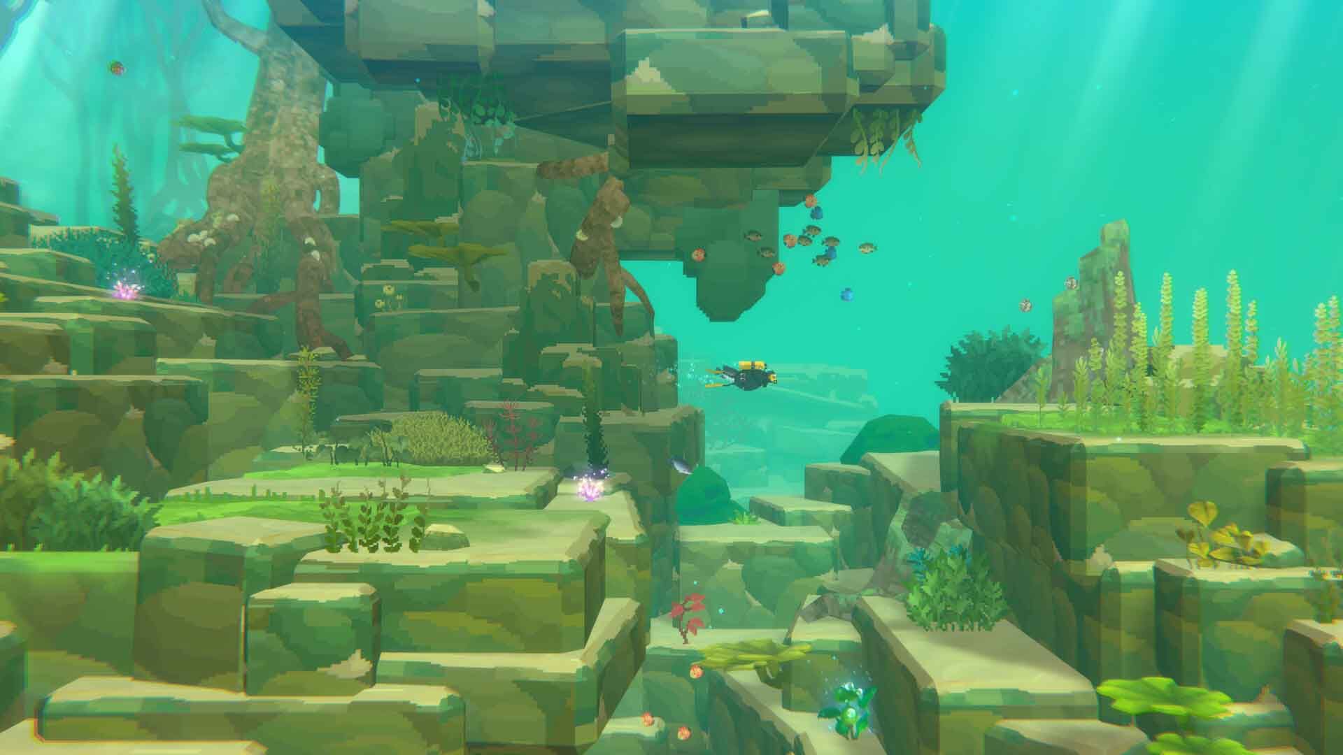 DAVE THE DIVER In the Jungle DLC