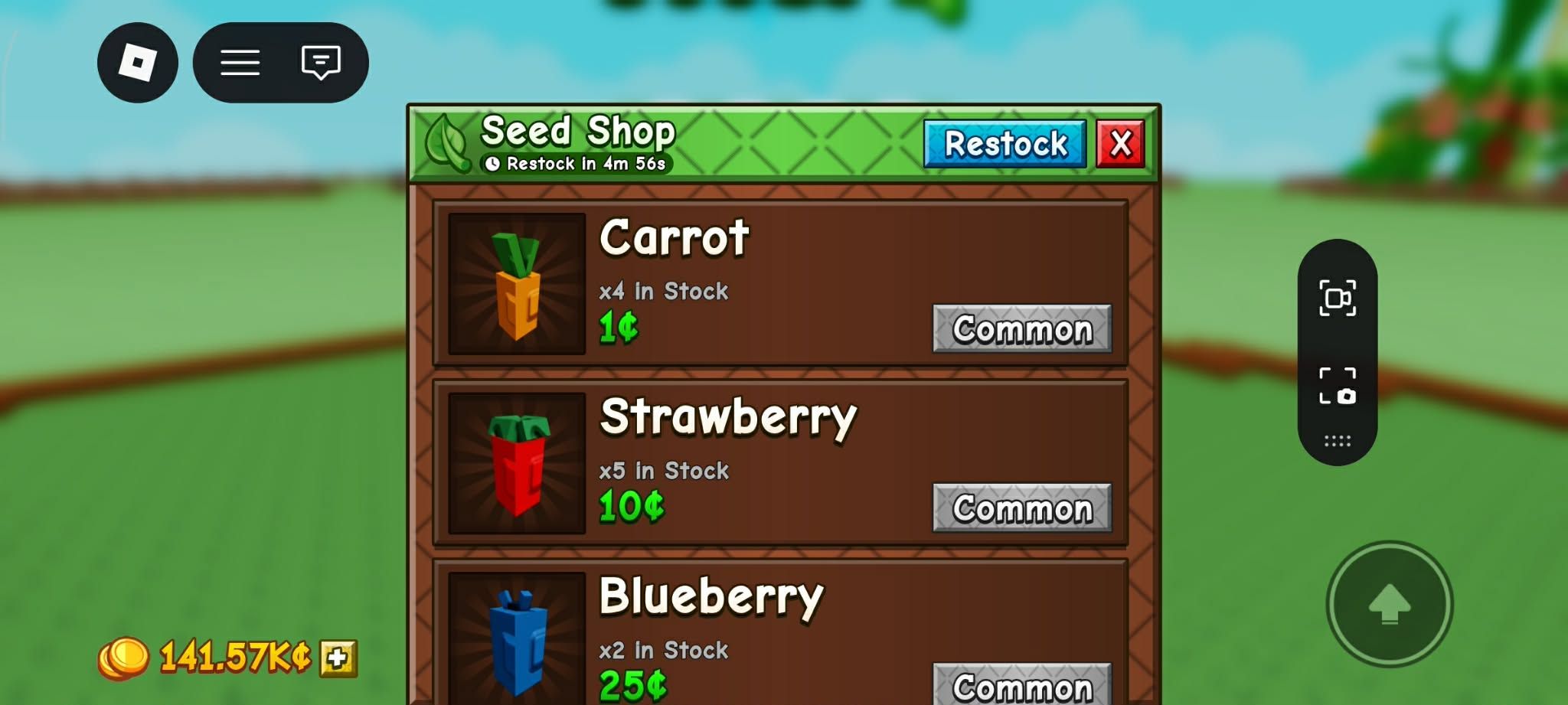 Seed