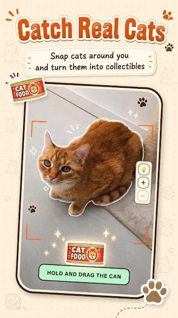 CatchCat