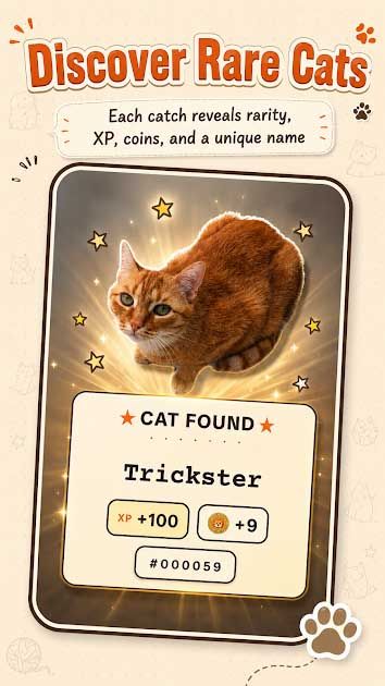 CatchCat