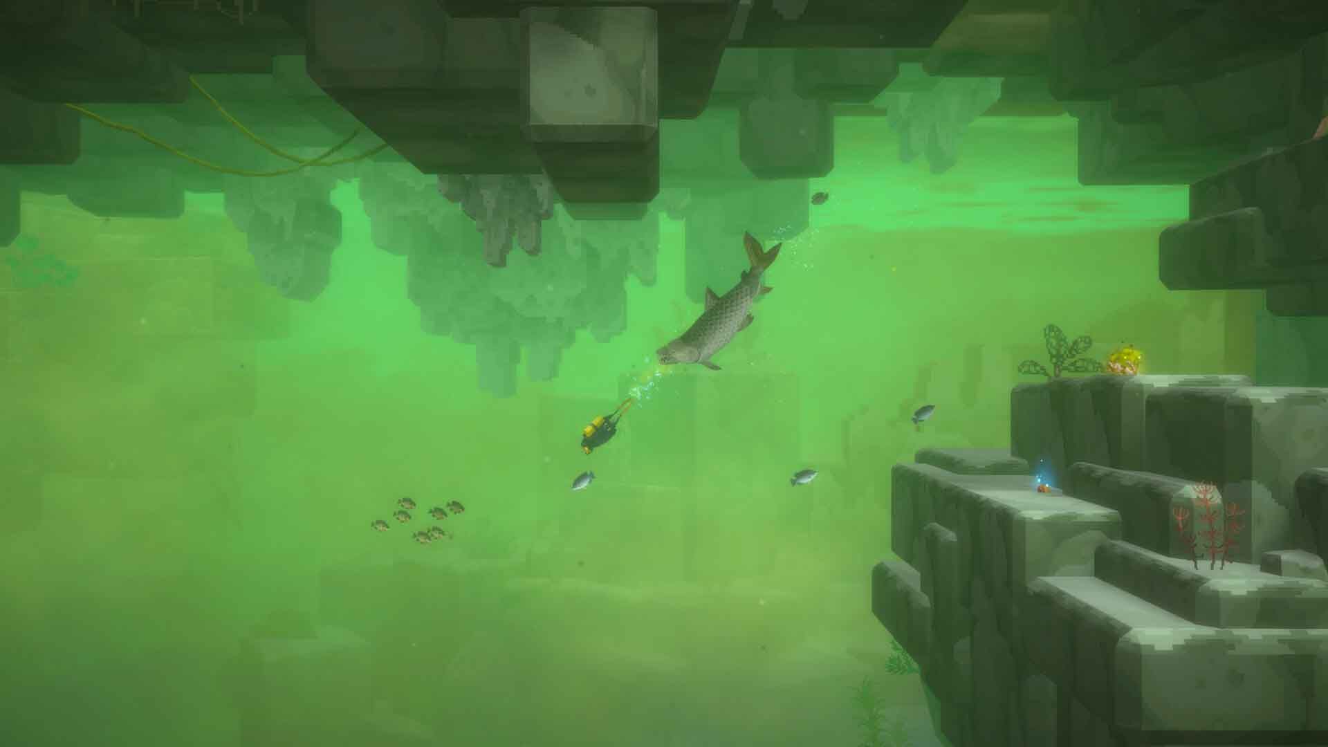 DAVE THE DIVER In the Jungle DLC
