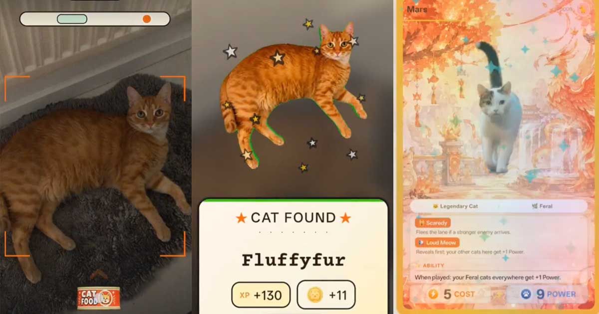 CatchCat