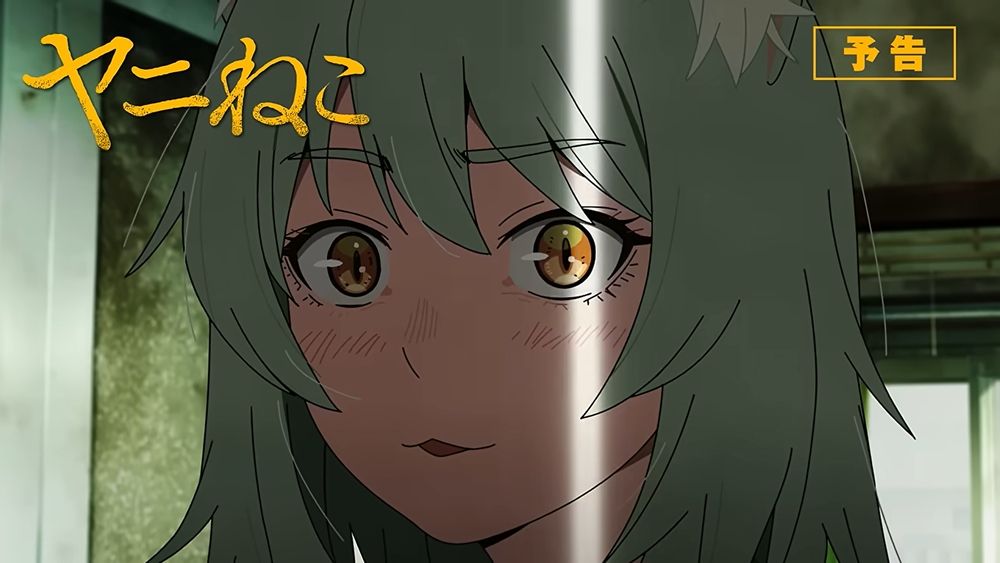 แมวสาวอมควัน