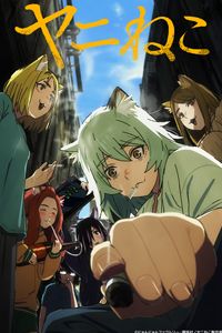 Chainsmoker Cat