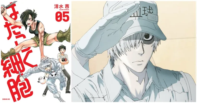 Cells at Work! เตรียมออก มังงะ เล่มใหม่ในรอบ 3 ปีครึ่ง!