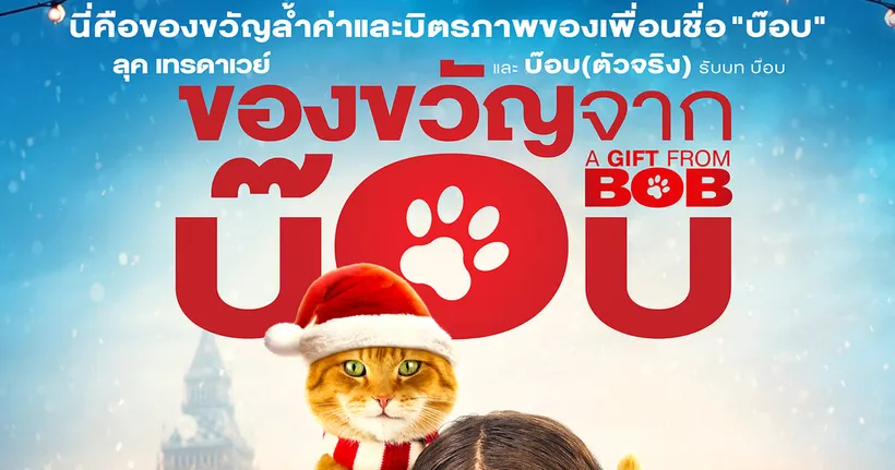 ทาสแมวถูกใจสิ่งนี้!! “A GIFT FROM BOB” เรื่องราวของ“บ็อบ”แมวส้มเซเลปที่โด่งดังจนถูกนำมาสร้างเป็นภาพยนตร์