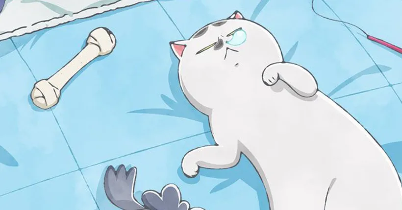 Inu to Neko Docchimo Katteru to Mainichi Tanoshii ช่วงที่ 2 เตรียมฉาย 15 มกราคม 2021!