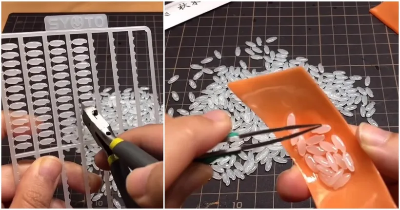 YouTuber สาวญี่ปุ่นนำพลาโมซูชิ Senasuke มาประกอบให้ดูกันแล้ว