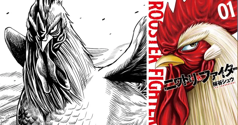 Rooster Fighter มังงะไก่ฮีโร่ปราบปีศาจช่วยเหลือมนุษย์ชาติ วางจำหน่ายเล่ม 1 แล้ว