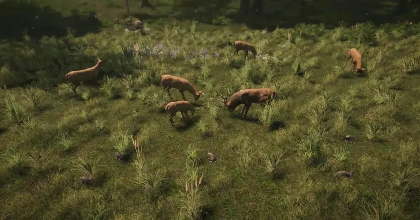 เกมดูแลระบบนิเวศช่วยเหลือสัตว์ป่า Natural Instincts เปิด Early Access