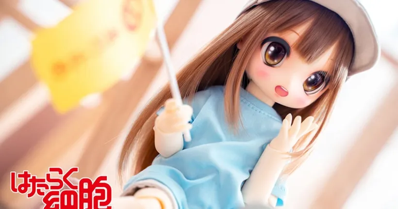 น้องเกล็ดเลือด จาก Hataraku Saibou กลายเป็นตุ๊กตาแคสต์ดอลสุดน่ารักแล้ว