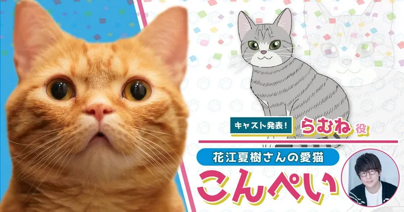 อนิเมะกีฬาแบดมินตัน Love All Play แคสแมวของนักพากย์มาพากย์แมว