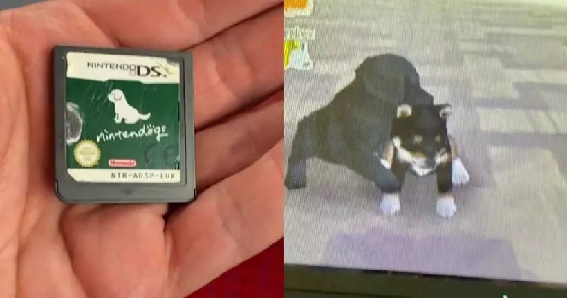 ใจฟู! หนุ่ม TikTok รับเลี้ยงน้องหมาจากในตลับเกม Nintendogs ที่ถูกทิ้งบนรถไฟ