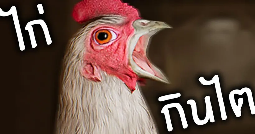 ไก่ย่างล้างแค้น - KarosPPM