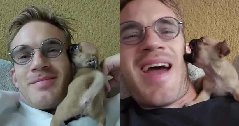PewDiePie เปิดตัวน้องหมา "Momo" สมาชิกหน้าใหม่ของช่อง