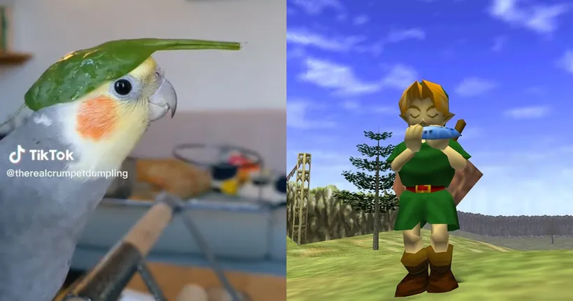 หนุ่ม TikTok โชว์นกของตัวเองขับร้องเพลง Zelda ภาค Ocarina of Time