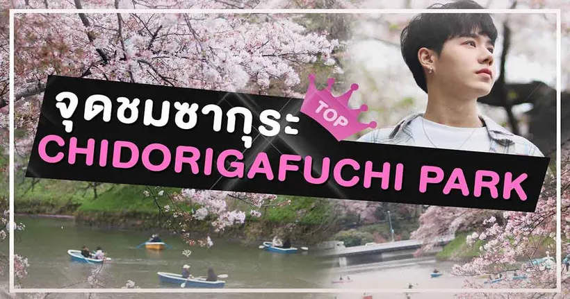 ไปชมซากุระสวย ๆ ที่ Chidorigafuchi Park กับ PETCHPIGZ จะบานสะพรั่งแค่ไหนไปดู!