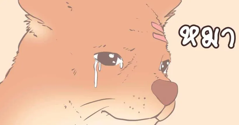 หมาอะ | WISLIVE Animation 2