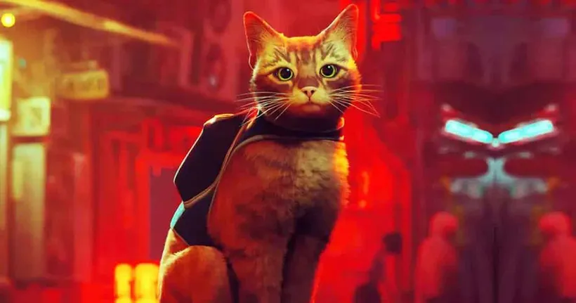 เกมน้องเหมียว Stray กำลังอยู่ในระหว่างการนำมาดัดแปลงเป็นหนังอนิเมชั่น
