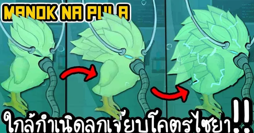Manok Na Pula #68 - ใกล้กำเนิดลูกเจี๊ยบโคตรไซย่า!! [ เกมส์มือถือ ]