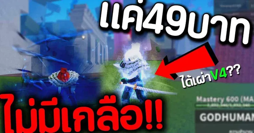 สอนซื้อไก่ตันราคา 49บาท ได้เผ่าV4? | Blox Fruits