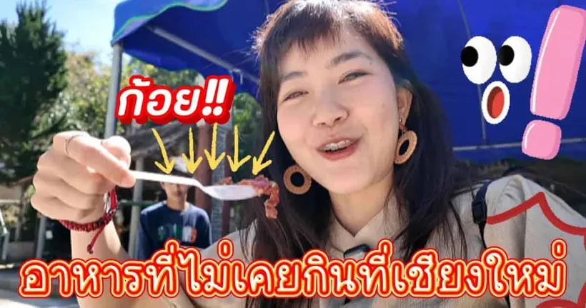 เชียงใหม่ 3 วัน 2 คืน อากาศเย็นสบายผ่อนคลายสุดๆ｜ใบไม้ไต้หวัน 葉子