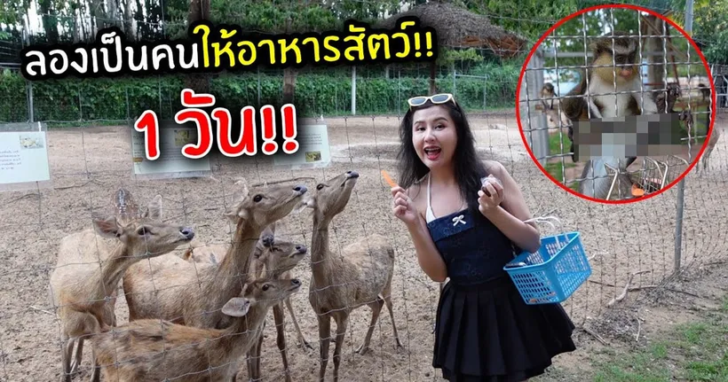 ลองเป็นคนให้อาหารสัตว์!! 1 วัน | Jubjang